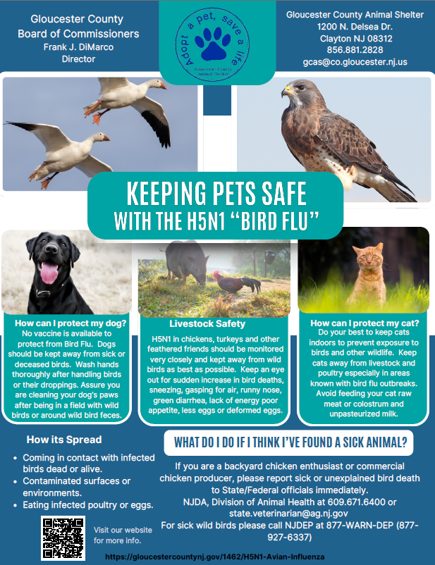 Screenshot 2025-03-07 164209