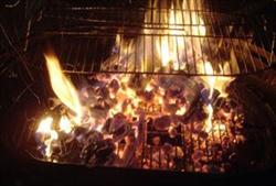 Barbecue Fire
